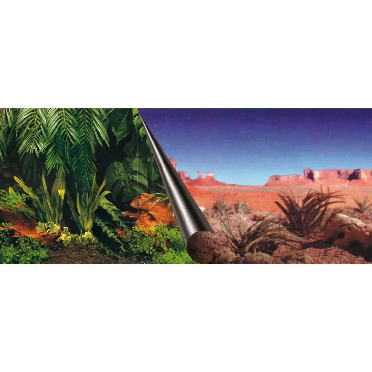 EUROPET Poster jungle – désert 60x30 cm