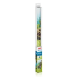 JUWEL Poster pour aquarium taille L 100x50 cm