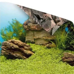 JUWEL Poster pour aquarium taille L 100x50 cm