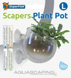 SUPERFISH Pot à plantes pour aquascaping en verre coloris transparent avec ventouses - 9 x 6 cm