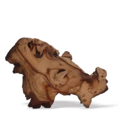 AQUAVIE Racine décorative pour aquarium ou terrarium coloris marron Mopani - Taille XL