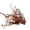 AQUAVIE Racine décorative pour terrarium en bois naturel coloris marron racine Curlivigne - Taille XL