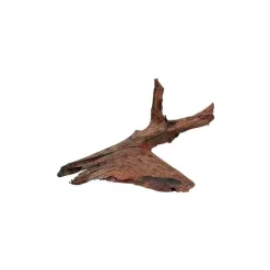 ZOLUX Racine Mangrove en bois naturel marron taille M 25/40 cm