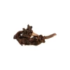 ZOLUX Racine Maupani en bois naturel marron taille XL 45x23x25 cm