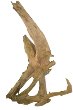 AQUAVIE Racine pour aquarium coloris marron Malaisie - Taille sm 26 à 32 cm