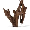 AQUAVIE Racine pour aquarium coloris marron Mangrove - Taille mm-gm 40 à 60 cm