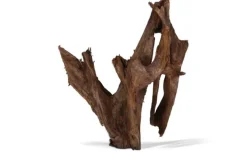 AQUAVIE Racine pour aquarium coloris marron Mangrove - Taille mm-gm 40 à 60 cm