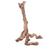 AQUAVIE Racine pour terrarium coloris marron Mopavigne - Taille XL