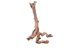 AQUAVIE Racine pour terrarium coloris marron Mopavigne - Taille XL