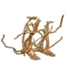 AQUAVIE Racine Vigne rare rouge, 10-20 cm