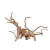 AQUAVIE Racine Vigne rare rouge, Entre 40 et 80 cm