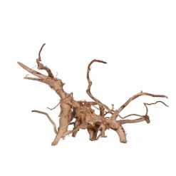 AQUAVIE Racine Vigne rare rouge, Entre 40 et 80 cm