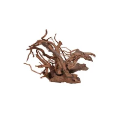 AQUAVIE Racine Vigne rare rouge, env. 30 cm