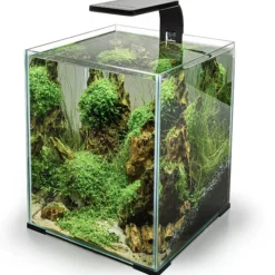 BLUE CORAL Rampe LED aquarium eau douce, noire, AQUAEL LEDDY Smart - 4,8W,2.0, Jour & Nuit