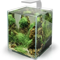 BLUE CORAL Rampe LED aquarium eau douce, blanc, AQUAEL, modèle Smart 2.0 - 4,8W