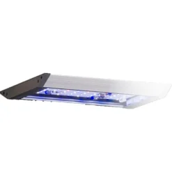 BLUE CORAL Rampe LED aquarius 30 Plus wi-fi pour aquarium marin AQUA MEDIC - 30cm