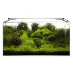 BLUE CORAL Rampe LED pour aquarium d'eau douce, blanc 10W, AQUAEL Leddy Slim Plant 2.0 - 10W