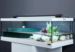 AQUATLANTIS Rampe LED pour tortue, faible consommation - EasyLED, 664mm - 16W