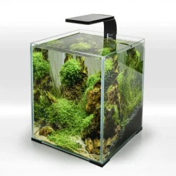 BLUE CORAL Rampe LED 4,8W pour aquarium d'eau douce noir - AQUAEL LEDDY Smart 2 Sunny Day & Night 2.0