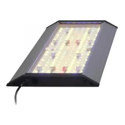 BLUE CORAL Rampe LED Wi-Fi pour aquarium, spéciale plantes, AQUA MEDIC Aquarius 60 Plus - Taille 60cm
