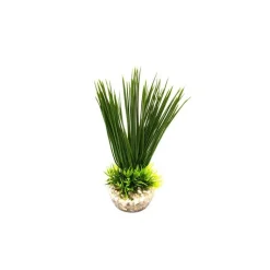 LABEO Récif vert en plastique petit modèle 13 cm