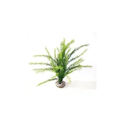 LABEO Rotala verte en plastique 30 cm