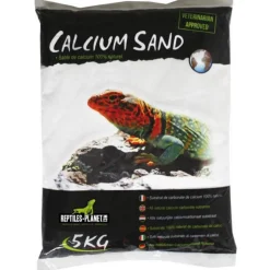 REPTILE PLANET Sable de calcium pour terrarium coloris blanc Artic White - 5 kg