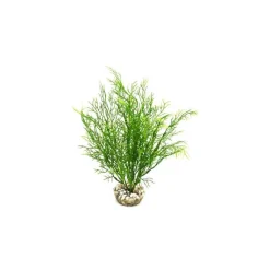 LABEO Salicorne verte en plastique 24 cm