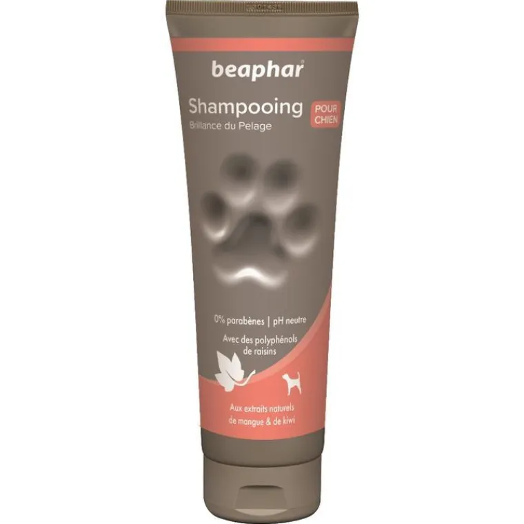 BEAPHAR Shampoing Premium éclat du pelage pour chien 250 ml