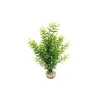 LABEO Sprengeri haut vert en plastique 26 cm