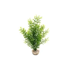 LABEO Sprengeri haut vert en plastique 26 cm