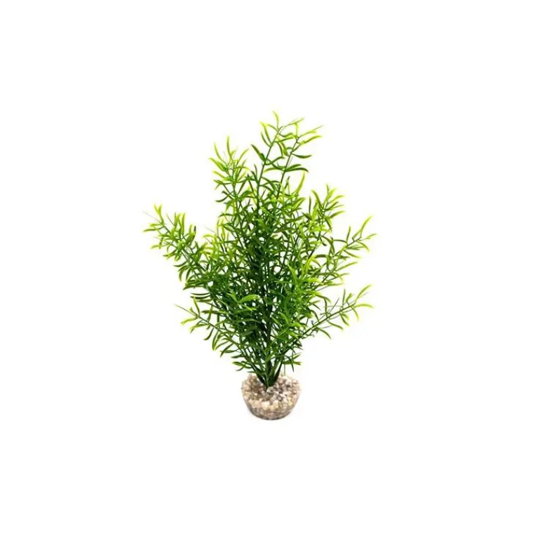 LABEO Sprengeri haut vert en plastique 26 cm