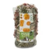PUUR PAUZE Sticks puur carotte et potiron pour rongeurs 110 g