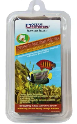 AS AQUA Supplément nutritif algues marines brunes pour poissons d'aquarium Océan Nutrition - 12 g