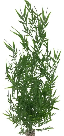LABEO Suspension bambou verte en plastique 10 x 67 cm