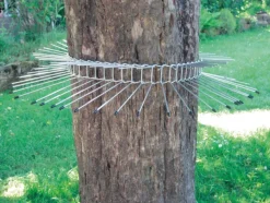 SCHWEGLER Système anti-prédateur chat pour oiseaux de la nature – Ø 70 cm