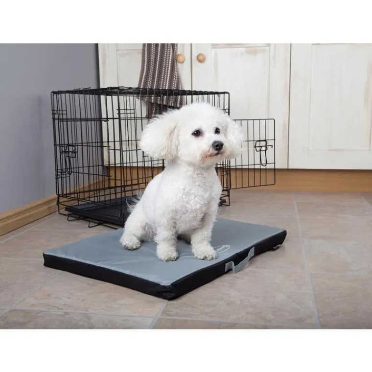 SCRUFFS Tapis imperméable pour chien gris Expédition – Taille L
