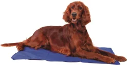 TRIXIE Tapis rafraîchissant pour chien coloris bleu - 60 x 100 cm