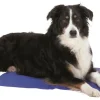 TRIXIE Tapis rafraîchissant pour chien coloris bleu - 40 x 50 cm