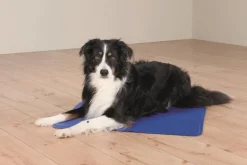 TRIXIE Tapis rafraîchissant pour chien coloris bleu - 40 x 50 cm