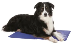 TRIXIE Tapis rafraîchissant pour chien coloris bleu - 40 x 50 cm