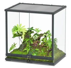 TERRATLANTIS Terrarium coloris gris anthracite Smartline 60 - 60 x 45 x 60 cm