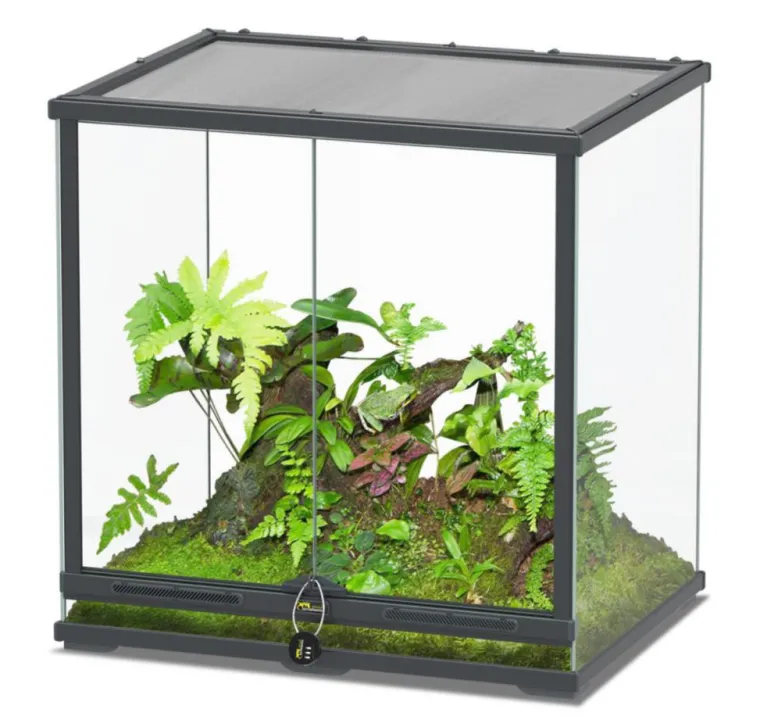 TERRATLANTIS Terrarium coloris gris anthracite Smartline 60 - 60 x 45 x 60 cm