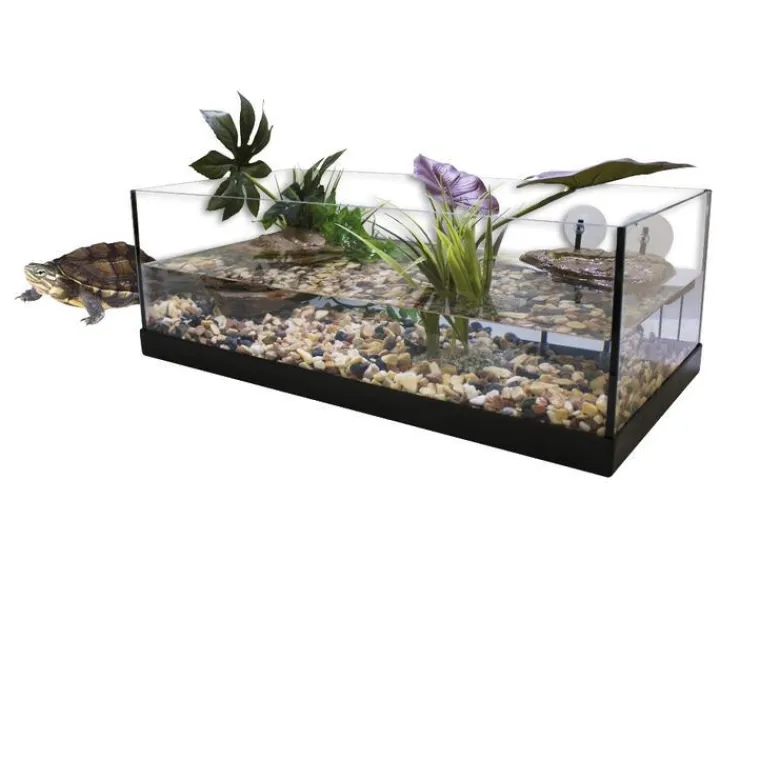 AQUAVIE Terrarium pour tortue d'eau aquatique coloris blanc kit aqua 80 – 80 x 35 x 25 cm