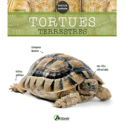 ÉDITIONS ARTEMIS Tortues terrestres. Editions Artemis