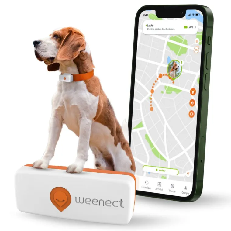 WEENECT Traceur GPS pour chien coloris blanc