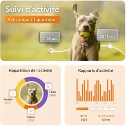 WEENECT Traceur GPS pour chien coloris blanc