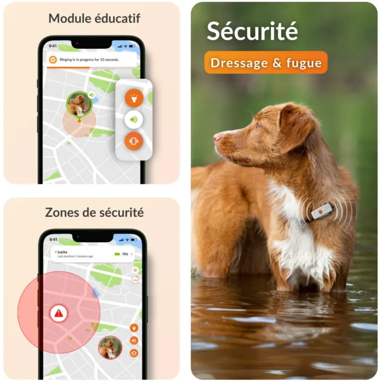 WEENECT Traceur GPS pour chien coloris blanc