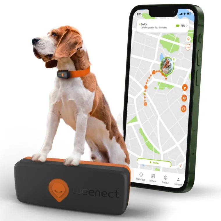 WEENECT Traceur GPS pour chien coloris noir