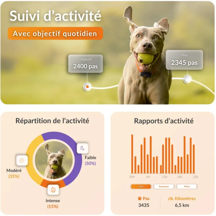 WEENECT Traceur GPS pour chien coloris noir